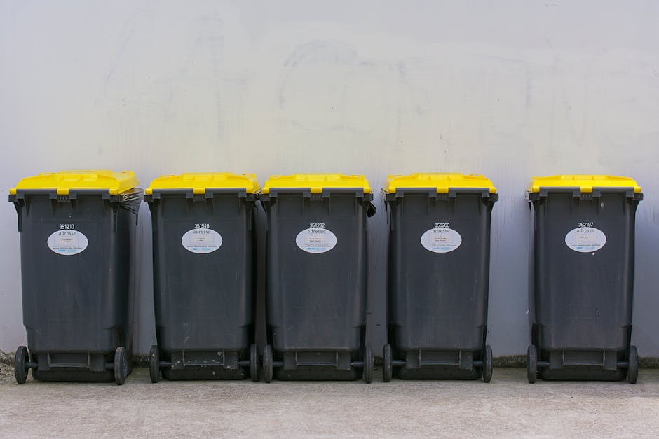 Five large black wheeled rubbish bins with yellow lids are lined up side by side on a paved surface against a plain, light-colored wall. The bins are made of durable plastic with a textured surface, each labeled with a white sticker bearing a barcode and identification number. The lids are securely closed, and the wheels at the base allow for easy movement. The environment appears to be an outdoor area, possibly a designated collection zone or a storage space near a building, with natural daylight illuminating the scene. The bins are positioned evenly, showing signs of regular use, and their arrangement suggests preparation for a private rubbish collection service, reflecting an alternative to traditional local authority waste disposal. The scene aligns with the consistency of a professional waste management service specializing in rubbish removal, such as those provided by companies like rubbishremovalroehampton.co.uk, for efficient and organized waste handling of household or student-related rubbish, typical of an off-site clearance operation.